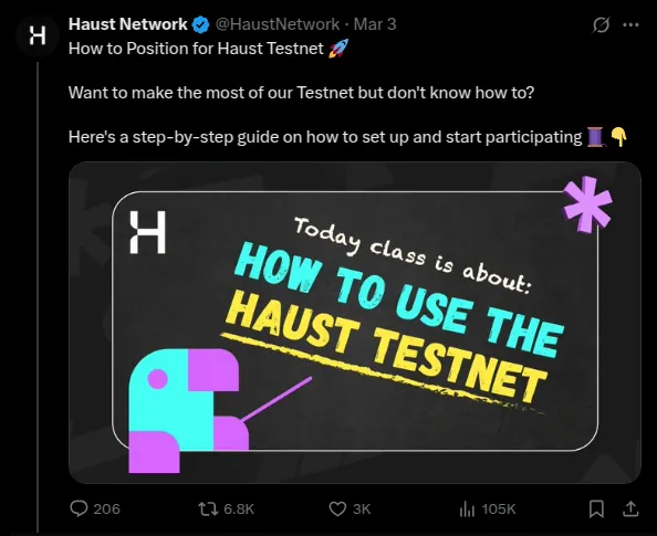 Guia passo a passo da testnet da Haust
