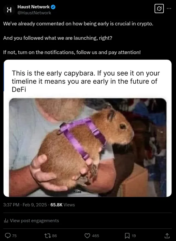 Meme de capivara sobre chegar cedo ao DeFi, 9 fev. 2025: 65,8K visualizações