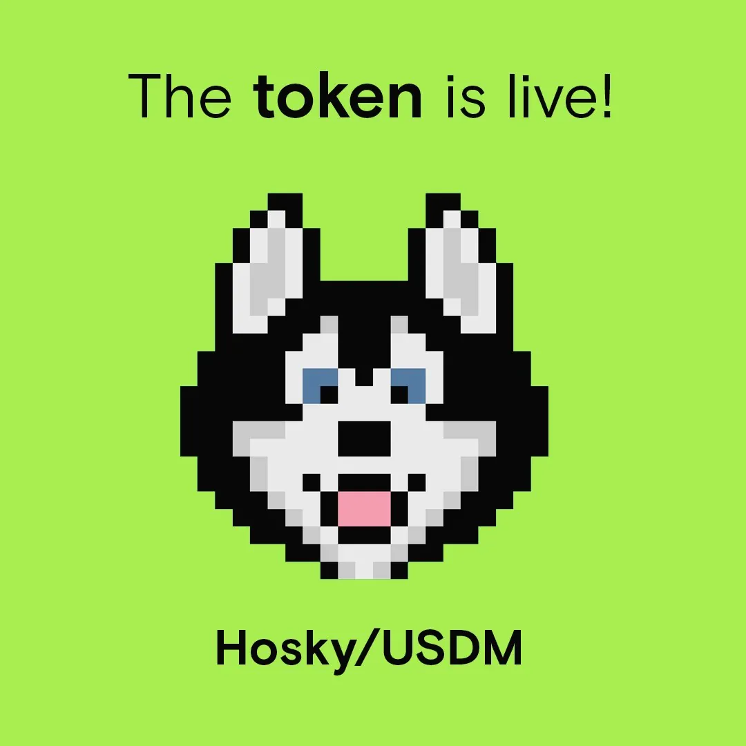 $HOSKY/$USDM pair launch art, Feb 27, 2025